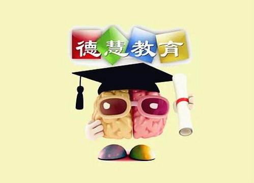 慈溪德慧教育信息咨詢 專業(yè)引領(lǐng)，助力學(xué)子成長